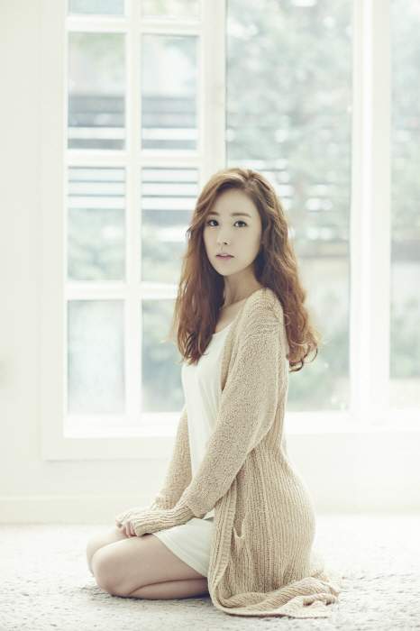 간미연 베이비복스