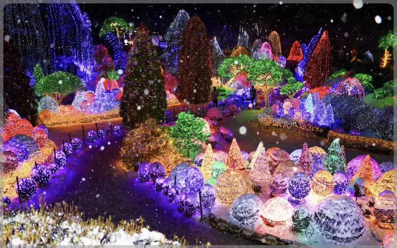 아침고요수목원_1