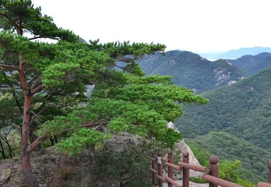 변산