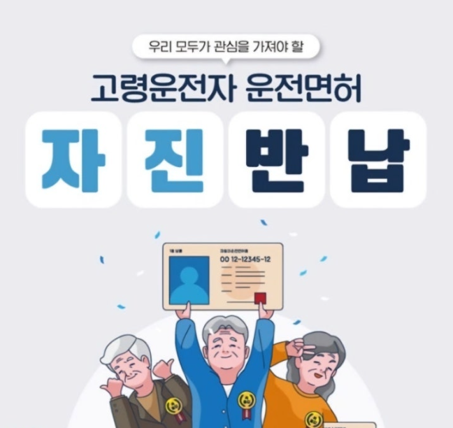 고령자 면허 반납 지원 혜택과 교통 접근성, 현실적 대안 한눈에