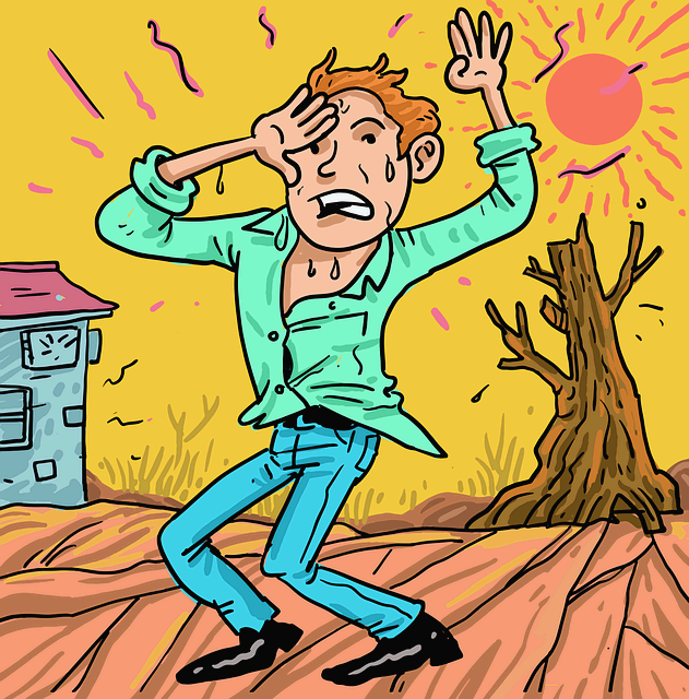 극심한 더위 속 웰니스 유지하기