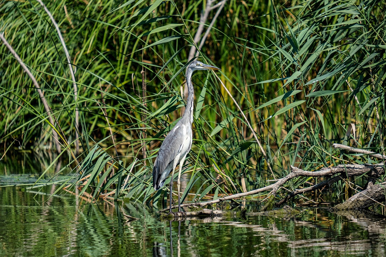 생태 여행 관련사진