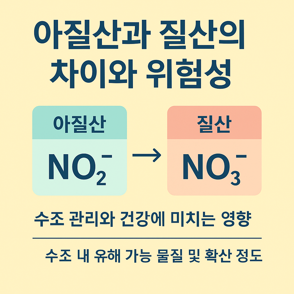 아질산(NO₂⁻)과 질산(NO₃⁻)의 차이와 위험성을 설명하는 인포그래픽. 좌측에는 민트색 배경의 '아질산 NO₂⁻', 우측에는 주황색 배경의 '질산 NO₃⁻'가 화살표로 연결되어 있으며, 하단에는 '수조 관리와 건강에 미치는 영향', '수조 내 유해 가능 물질 및 확산 정도'라는 설명 문구가 한국어로 적혀 있음.