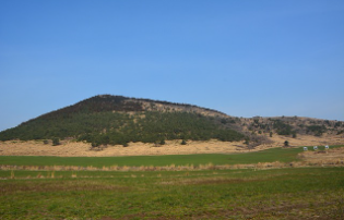 높지 않고 완만한 오름