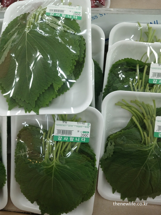 트레이에 담아 판매되는 신선한 깻잎