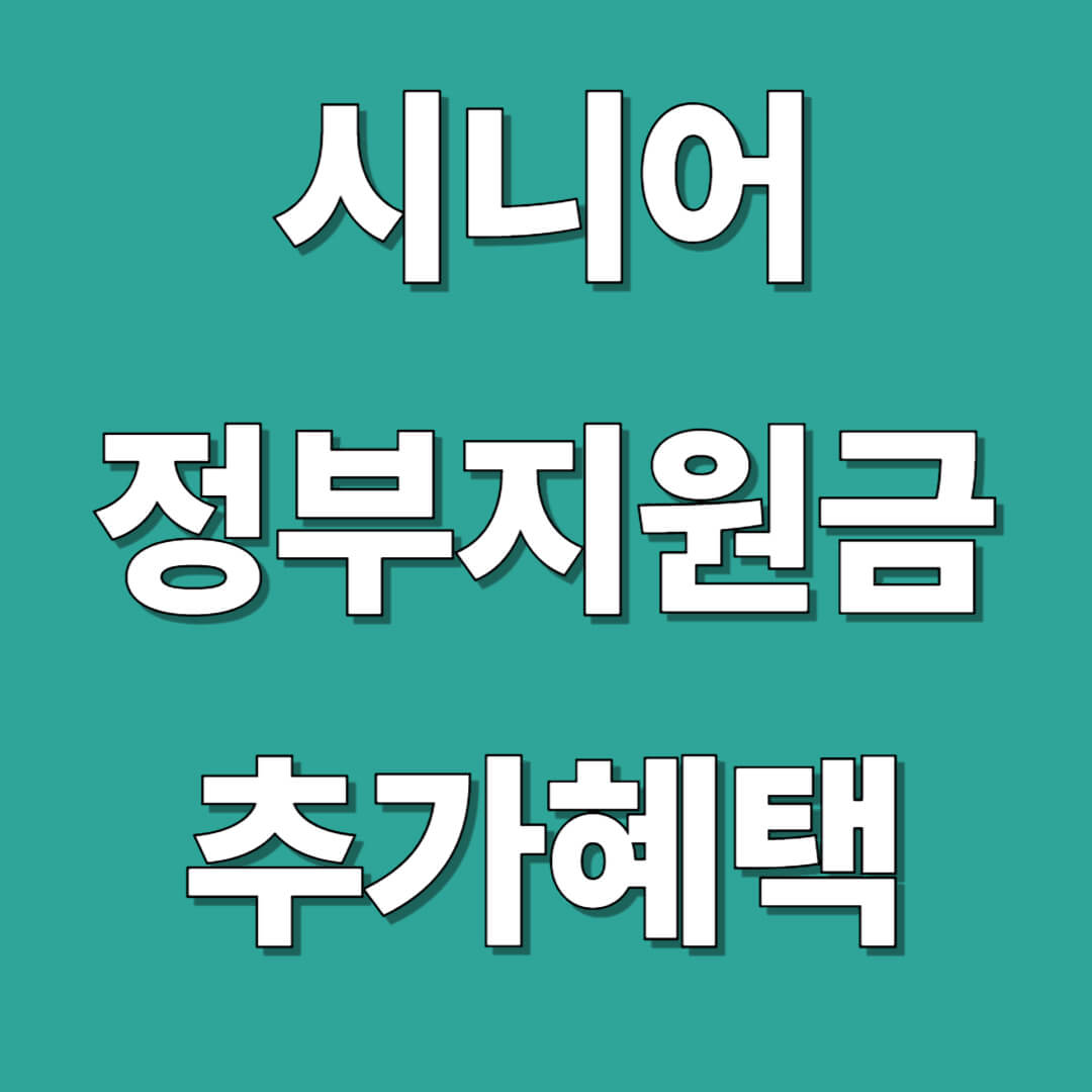 시니어 정부지원금 추가혜택