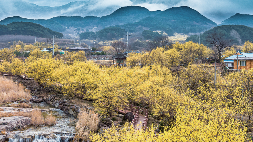 2025년 4월 국내 여행지 추천! 봄꽃과 함께 떠나는 최고의 여행지