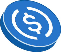 USDC | 미국 달러 연동 스테이블코인