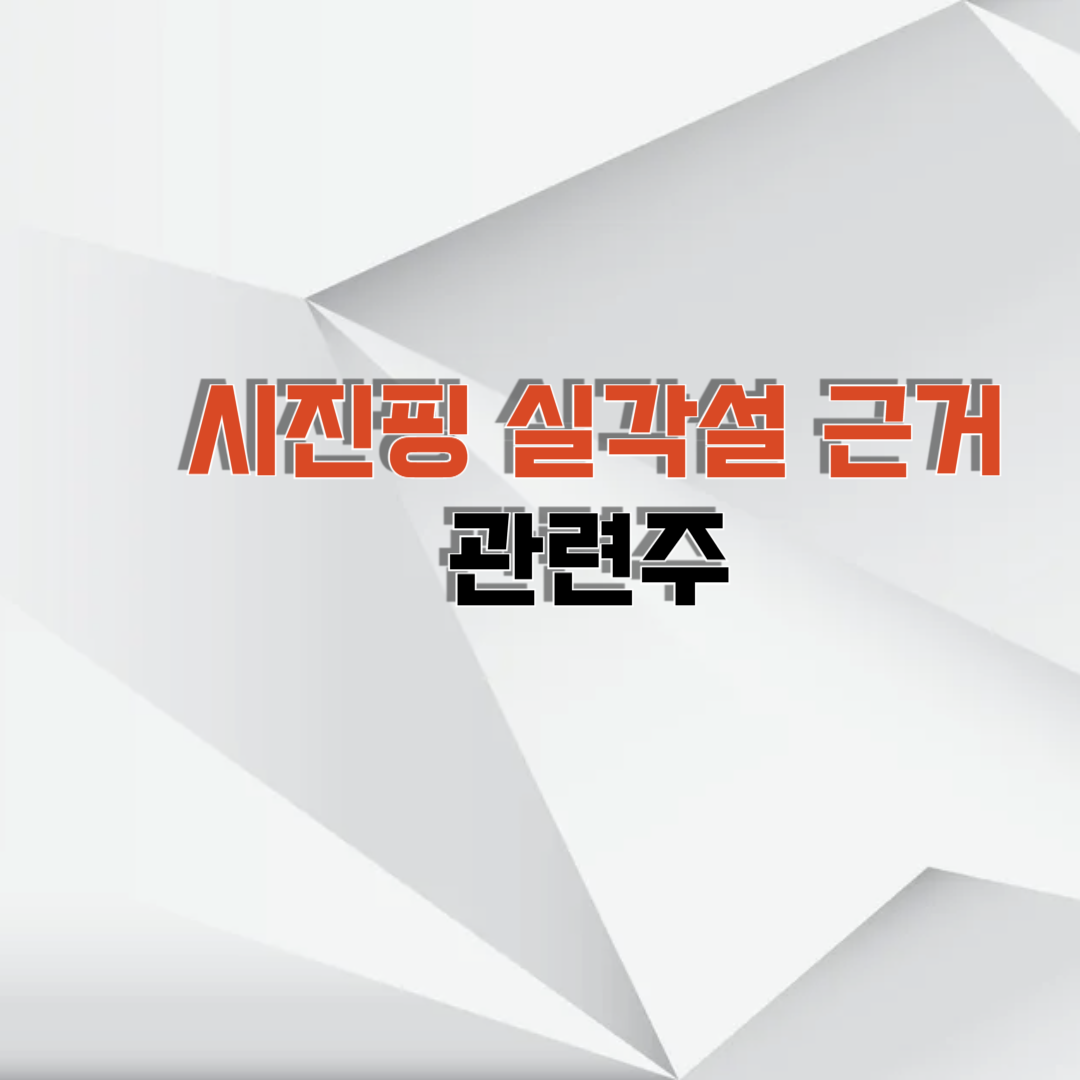 시진핑 실각 관련주