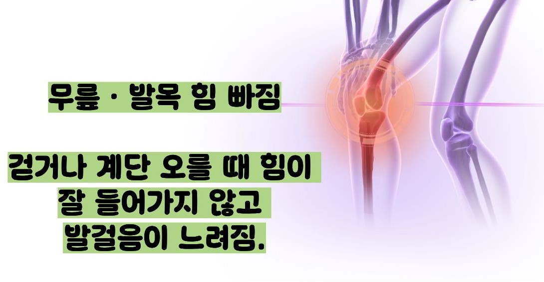 추간판 탈출증 증상