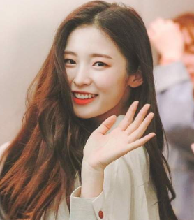 아린 이미지