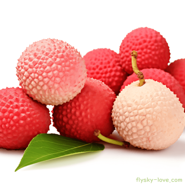 열대 과일 리치