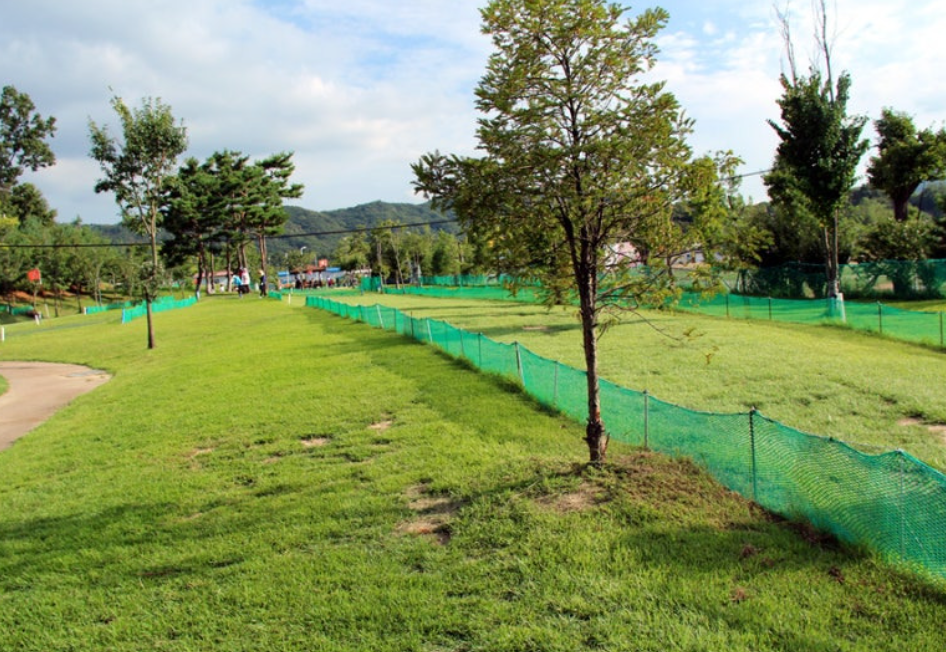 양주시 나리공원 파크골프장 전경