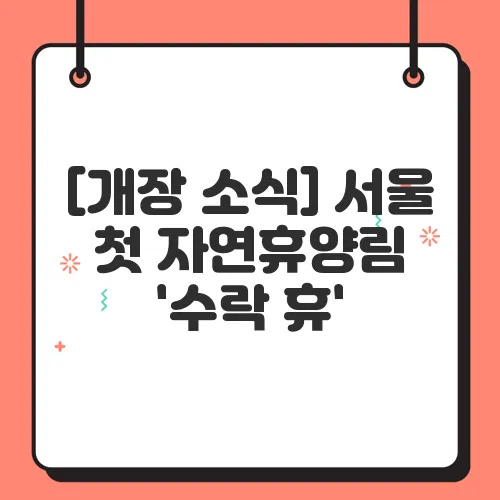 [개장 소식] 서울 첫 자연휴양림 '수락 휴', 예약 방법부터 이용 팁까지 총정리!