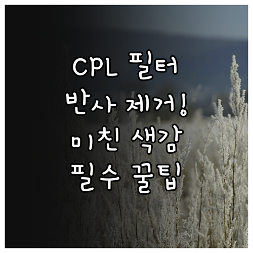 CPL 필터 활용법 반사 제거와 하늘..