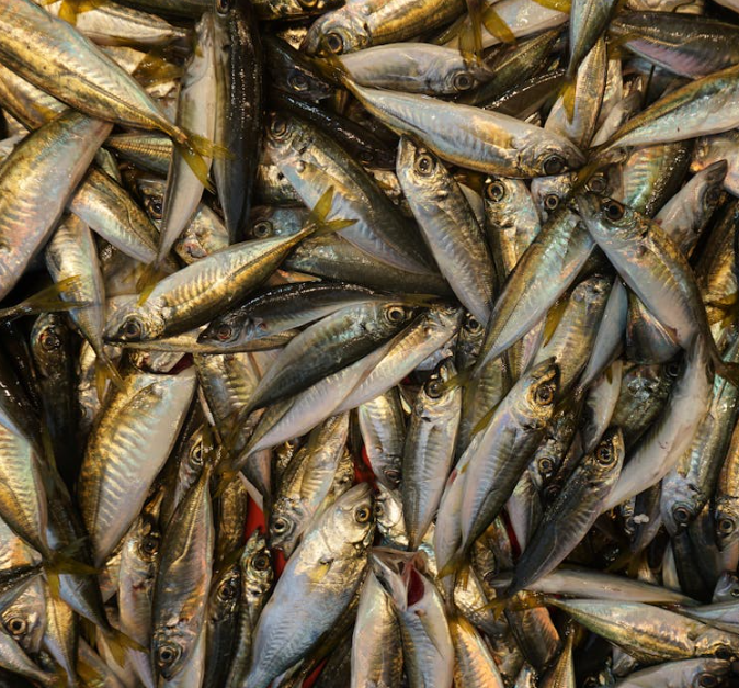 심장에 좋은 음식