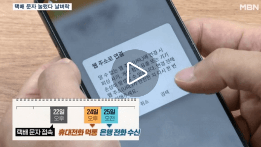 보이스피싱 시티즌코난 금감원 지킴이