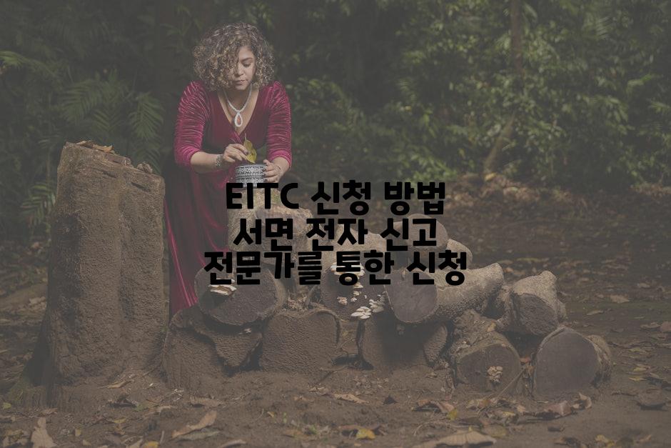 EITC 신청 방법 서면 전자 신고 전문가를 통한 신청