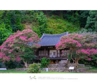 안동 가볼만한곳 베스트10 하회마을 병산서원 간고등어 맛집_19