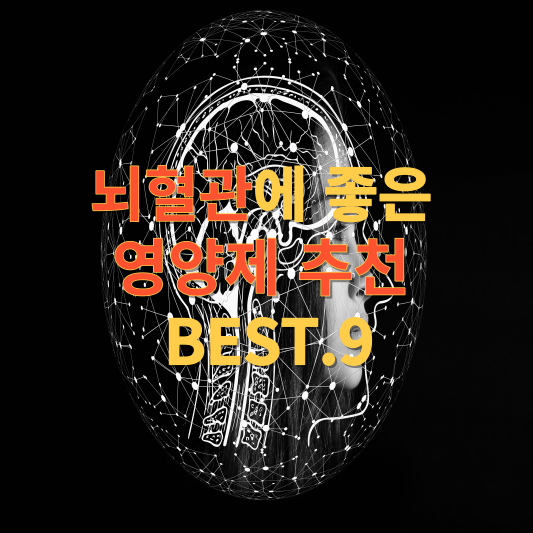 뇌혈관에 좋은 영양제 추천 BEST.9