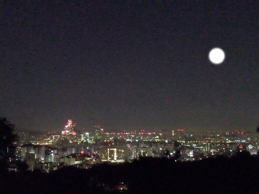 서대문 구민 10만보 걷기챌린지