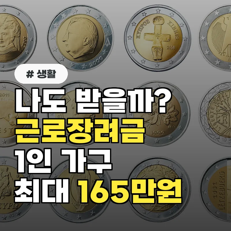 나도 받을 수 있을까 근로장려금 1인 가구 최대 165만원 조건