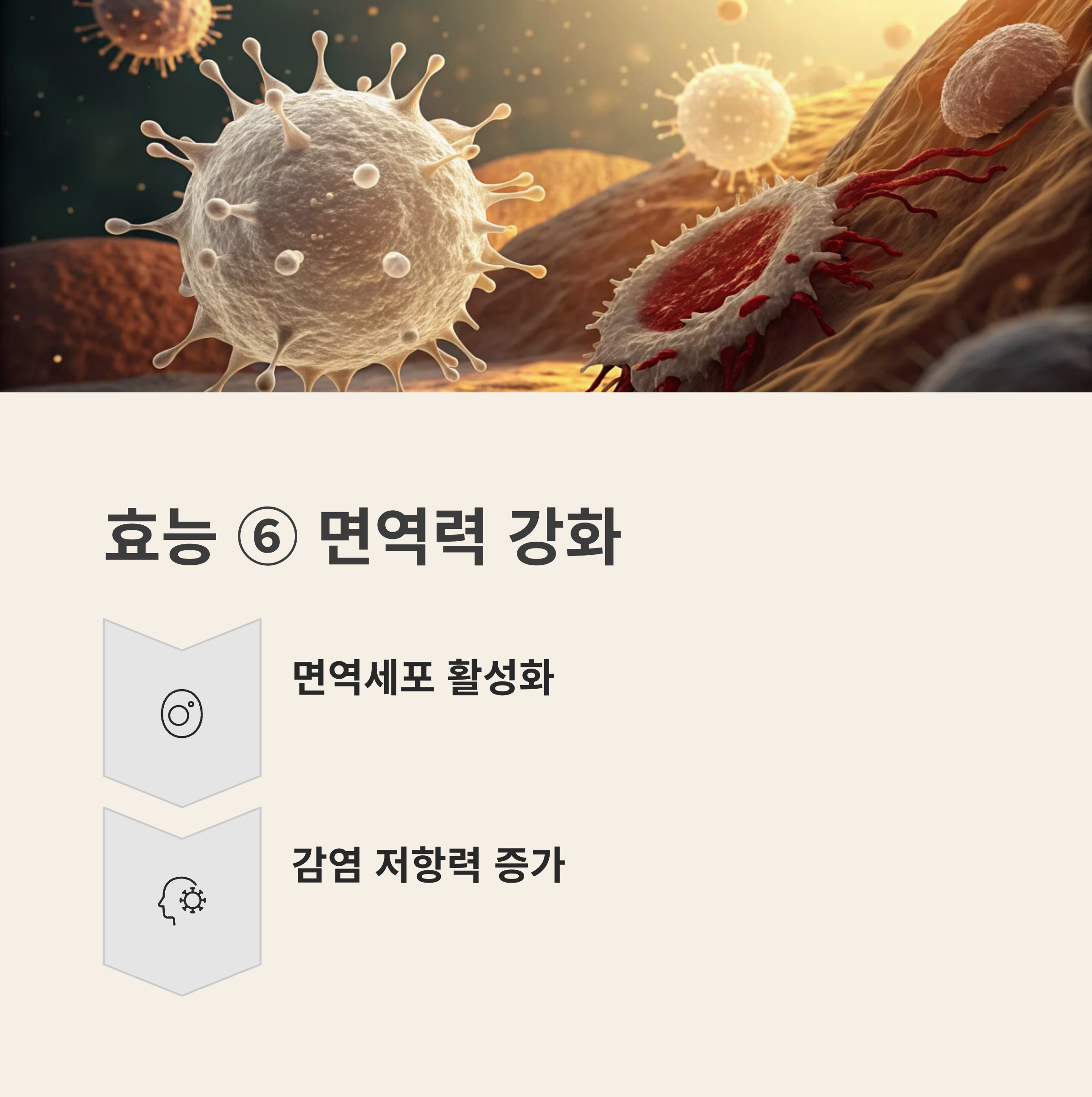 귀리 효능과 부작용 2025 완벽 가이드 – 슈퍼푸드 효능과 숨겨진 함정 총정리!