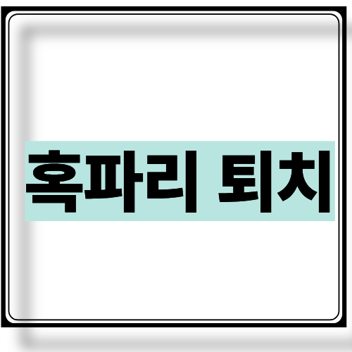 혹파리 퇴치
