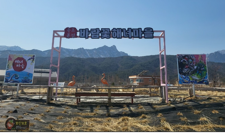 바람꽃해녀마을 속초 맛집 후기