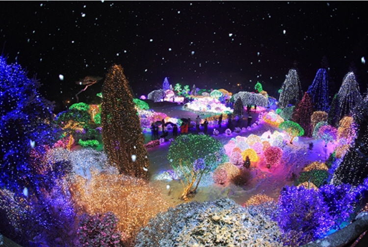 아침고요수목원