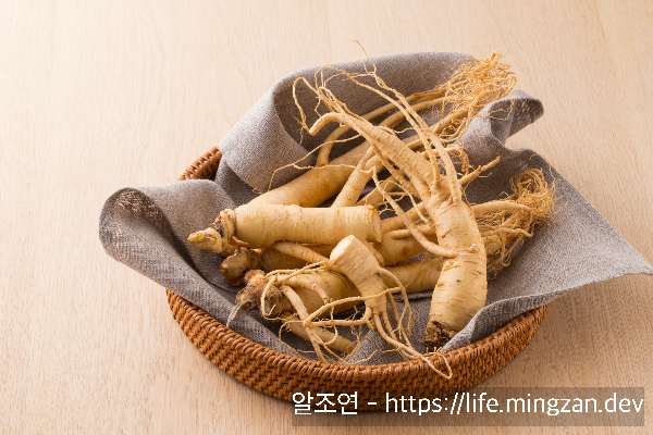 원기회복과 열을 올려주는 효능 외에도