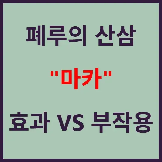 마카 효과 부작용 블로그 섬네일