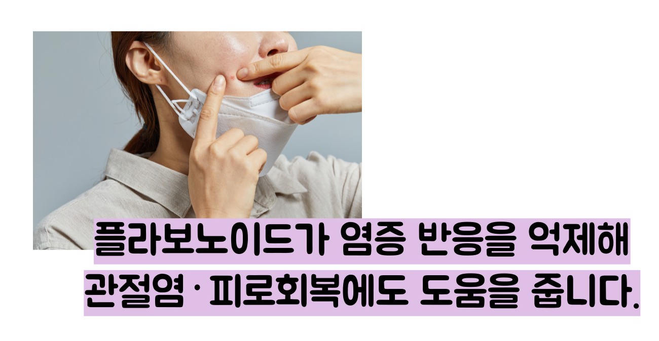 블루베리 효능