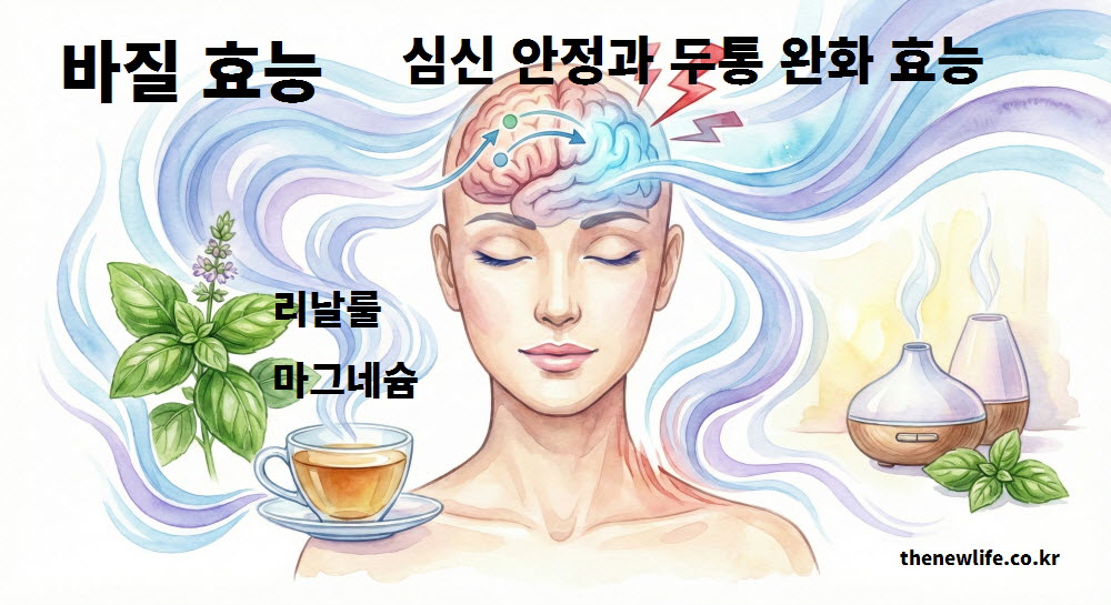 신경계를 진정시켜 스트레스를 줄이고 두통을 완화하는 바질 효능 이미지