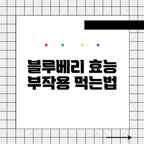 블루베리 효능 부작용 먹는법