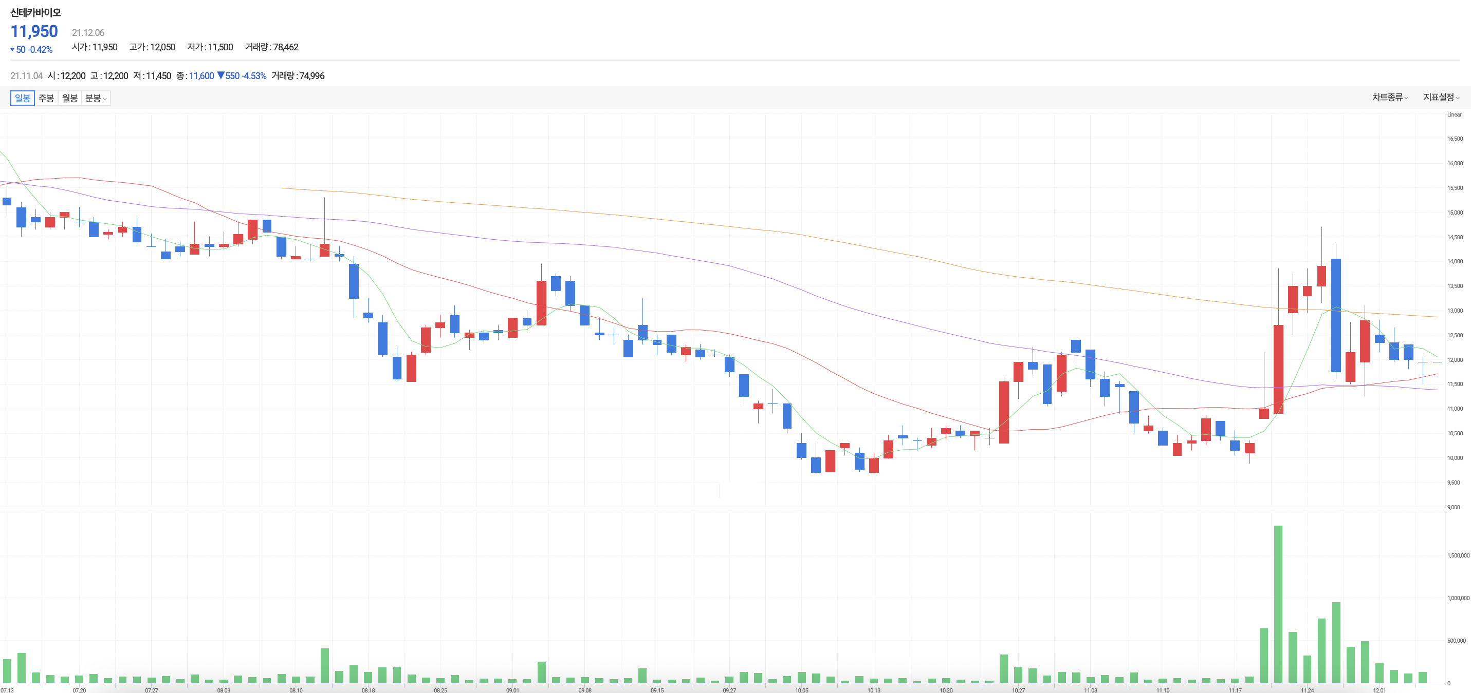 신테카바이오_주가흐름