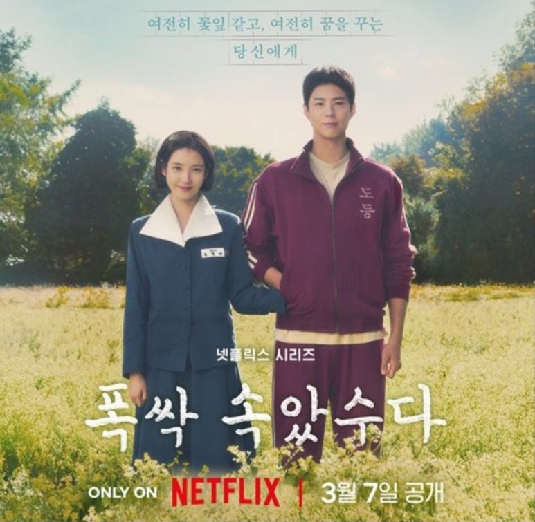 폭싹 속았수다 포스터 사진