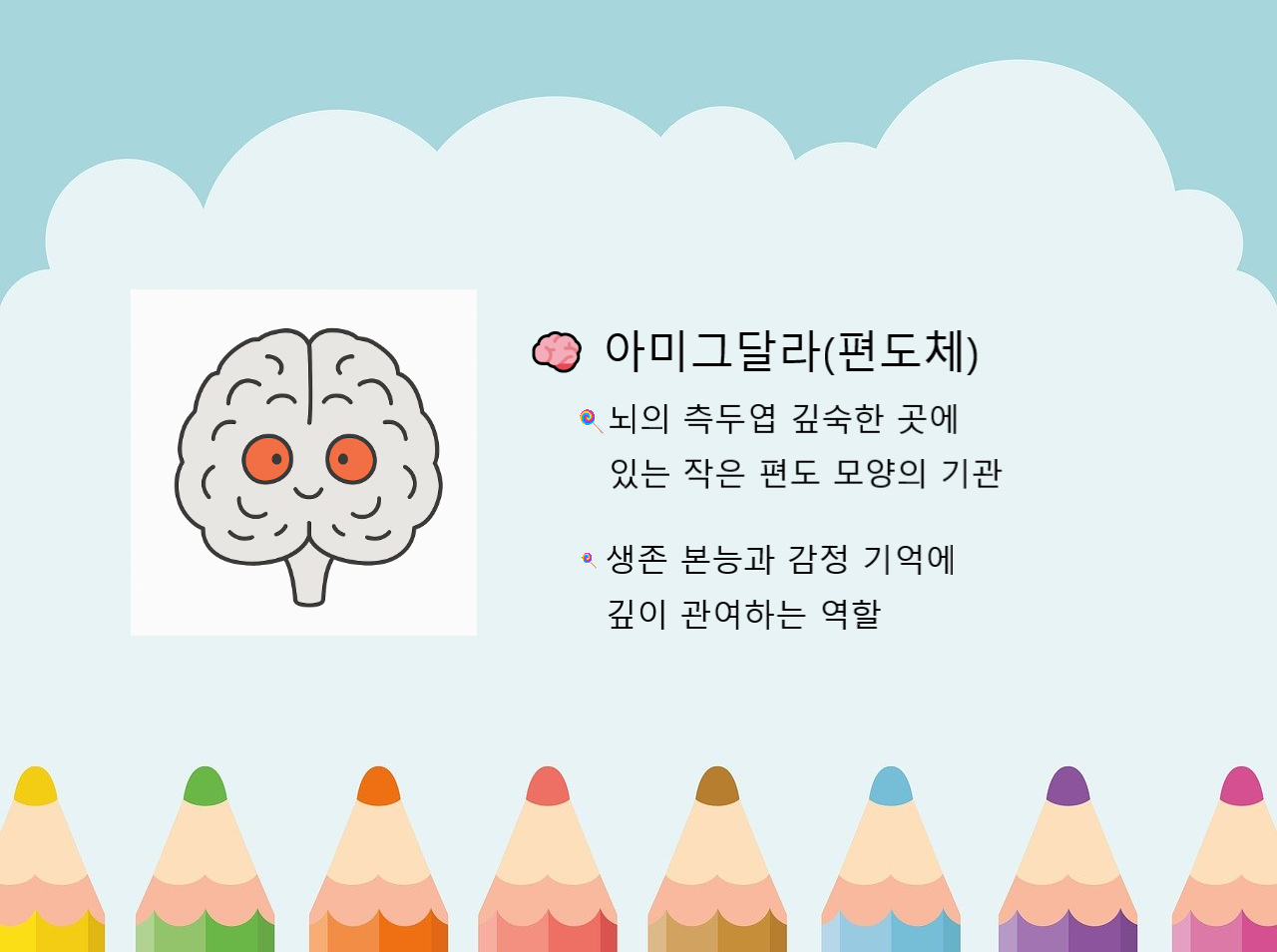 아미그달라(편도체), 감정의 인식 관련 이미지