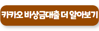 카카오뱅크 비상금대출 03