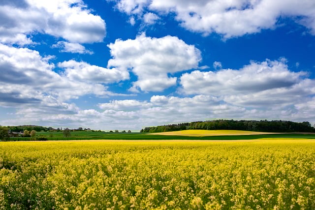 대구공항-제주공항 비행기 시간표 운항 스케줄 대구공항 주소 대중교통 항공권 비행기표 예약1