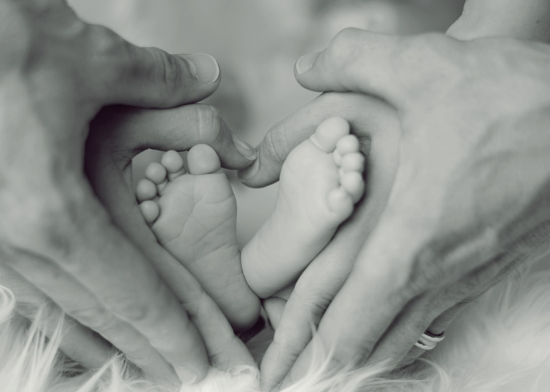 산후도우미 신청