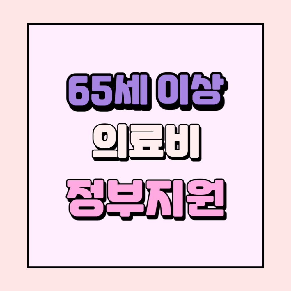 65세이상의료비지원