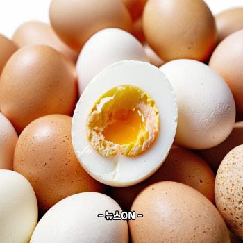 수능 아침에 좋은 음식