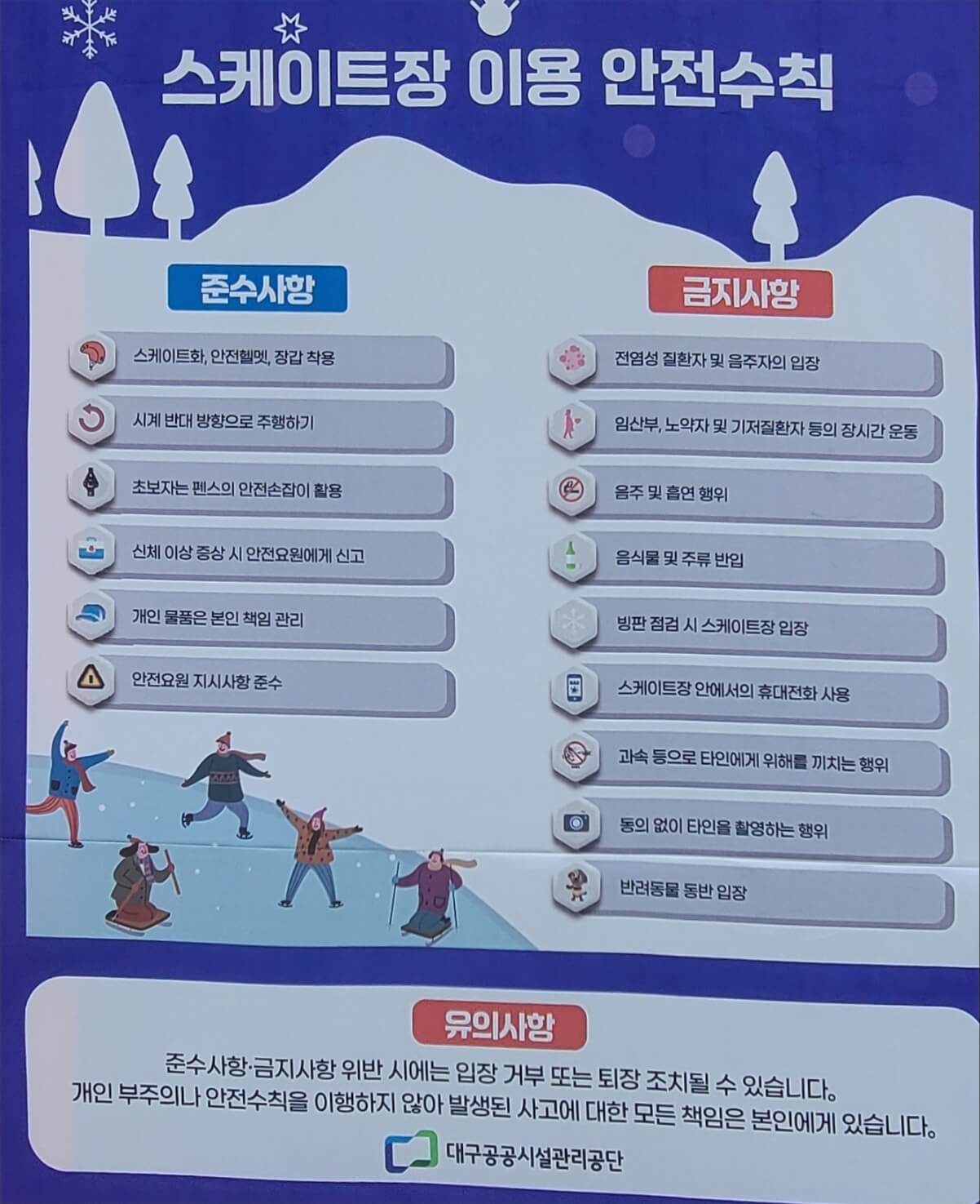 스케이트5