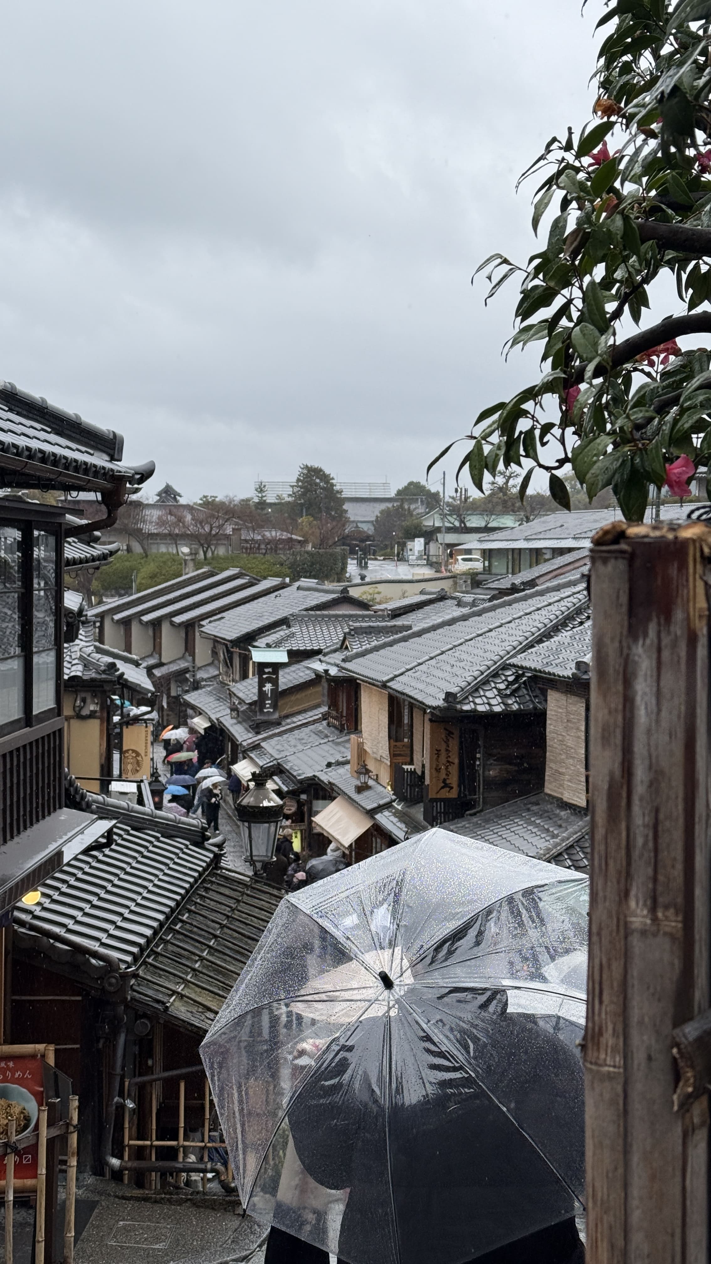 교토여행-기요미즈데라-가이세키-점심-파크-하얏트-교토