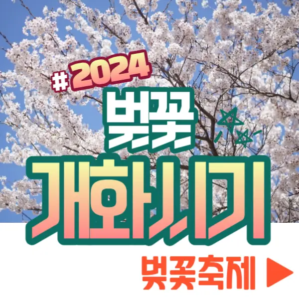 벚꽃 개화시기 벚꽃 축제