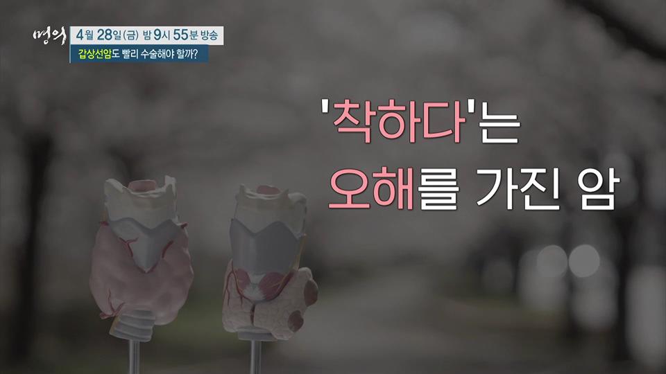 명의 갑상선 기능 항진증, 저하증 이어 발병한 결절, 갑상선암 검사 비용 방법