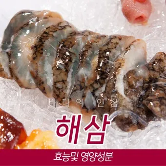 해삼 손질법 해삼보관법 제철 탕 레시피_4