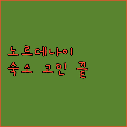 2025년 노르데나이 여행 숙소 고민..