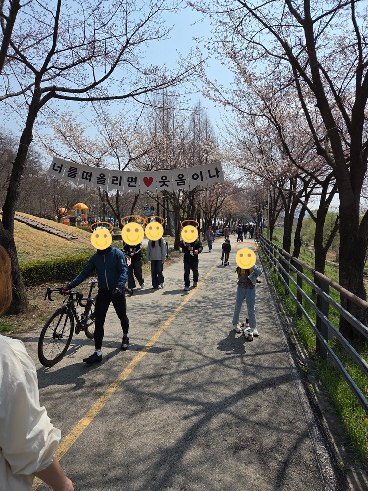 많이 안 핀 벚꽃